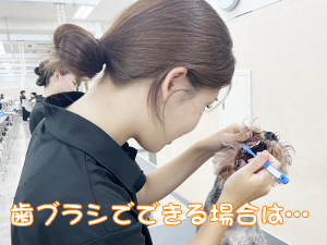 毎日の歯みがきで健康を守ります☆